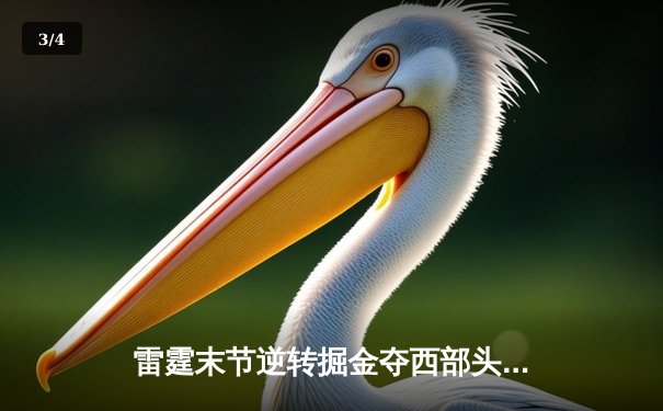 雷霆末节逆转掘金夺西部头名 亚历山大狂砍37分创赛季新高 - 3